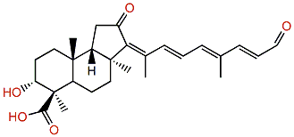 Jaspiferal B